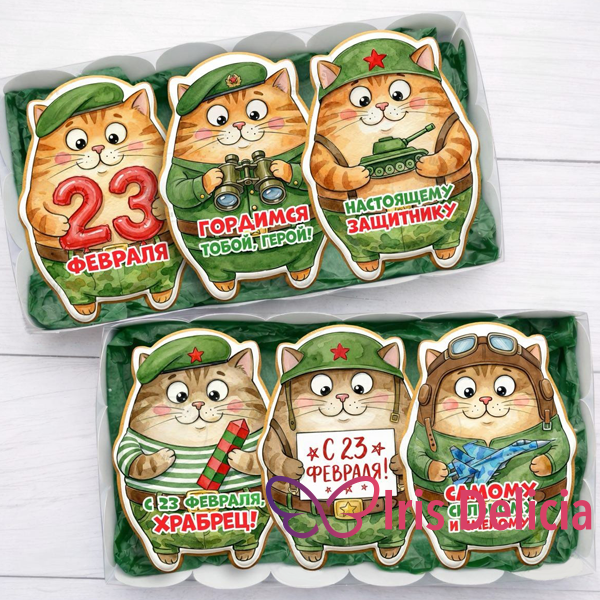 Имбирный пряник на 23 февраля №8 фото