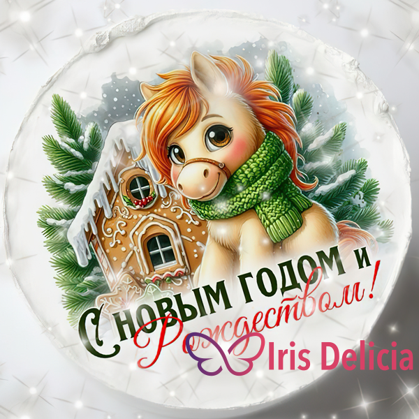 Бенто Maxi Новогодний №11, в комплект входит 1 свеча, 1 ложечка, 1000г фото