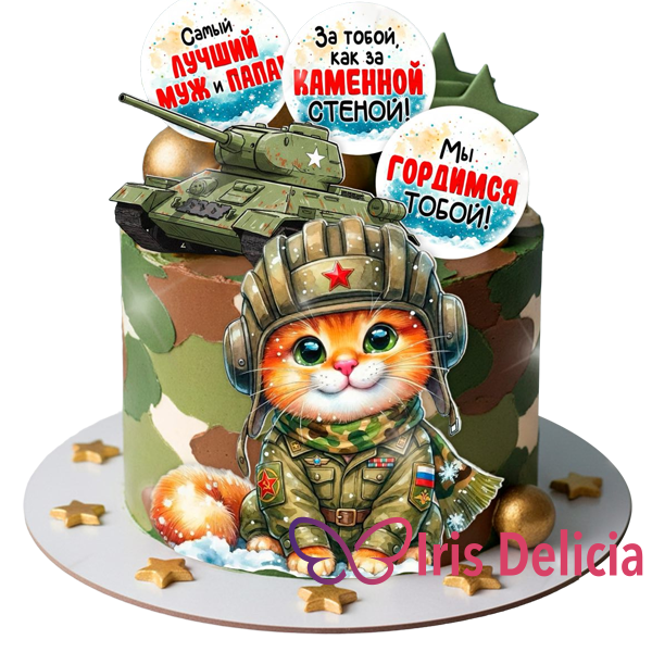 Праздничный торт на 23 февраля №18 фото